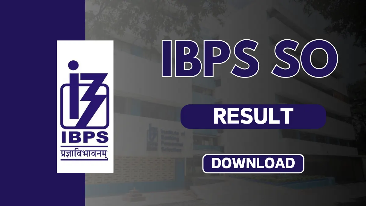 ibps so prelims result 2024